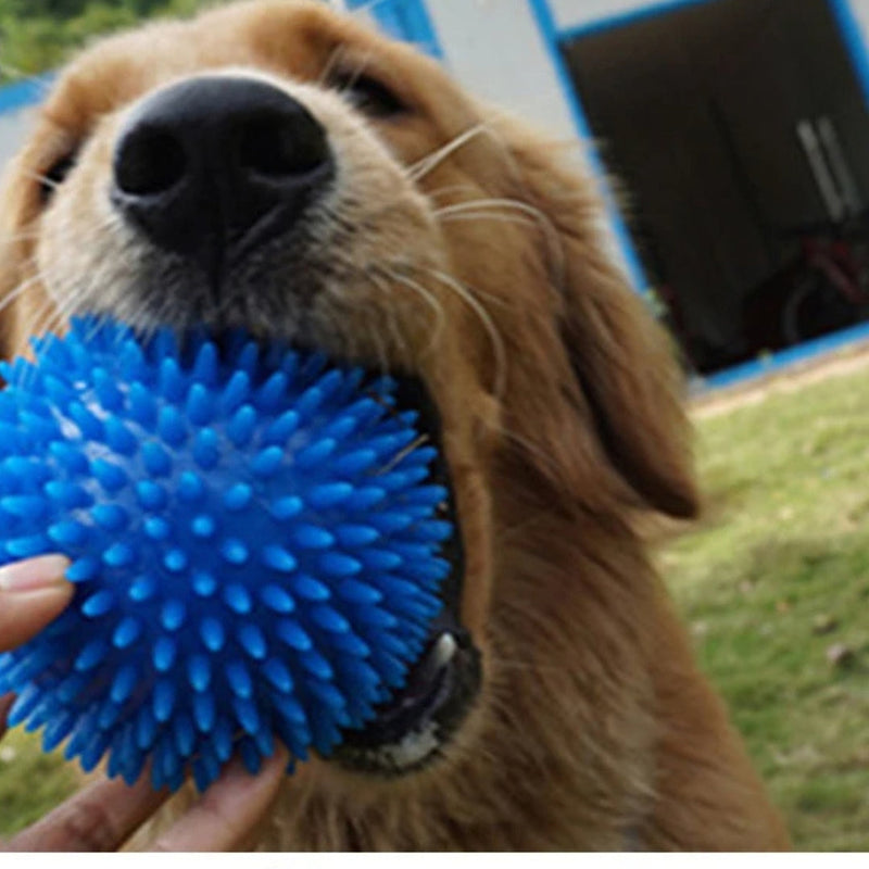 Bola Mastigável para Limpeza de Dentes de Cães