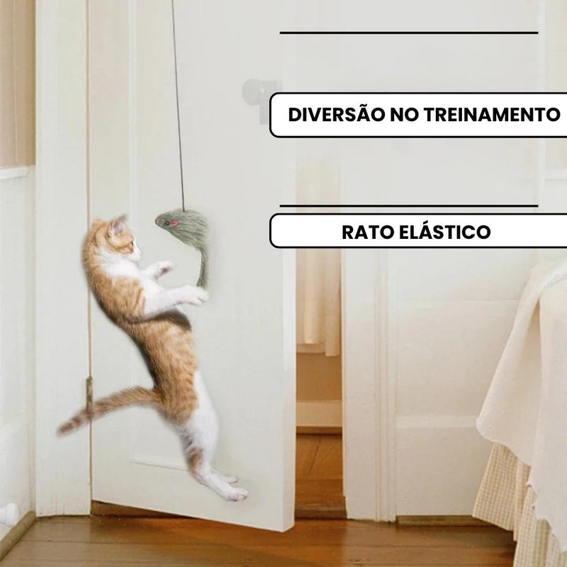 Brinqueto interativo para gatos CatPlay