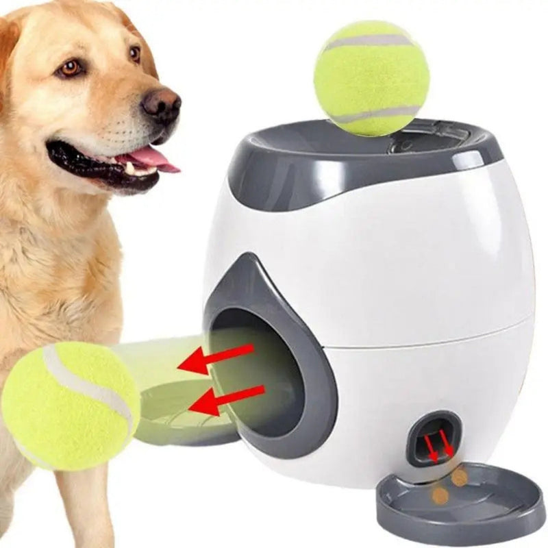 Lançador de Bolinhas Para Cachorros Pet  BolaFetch