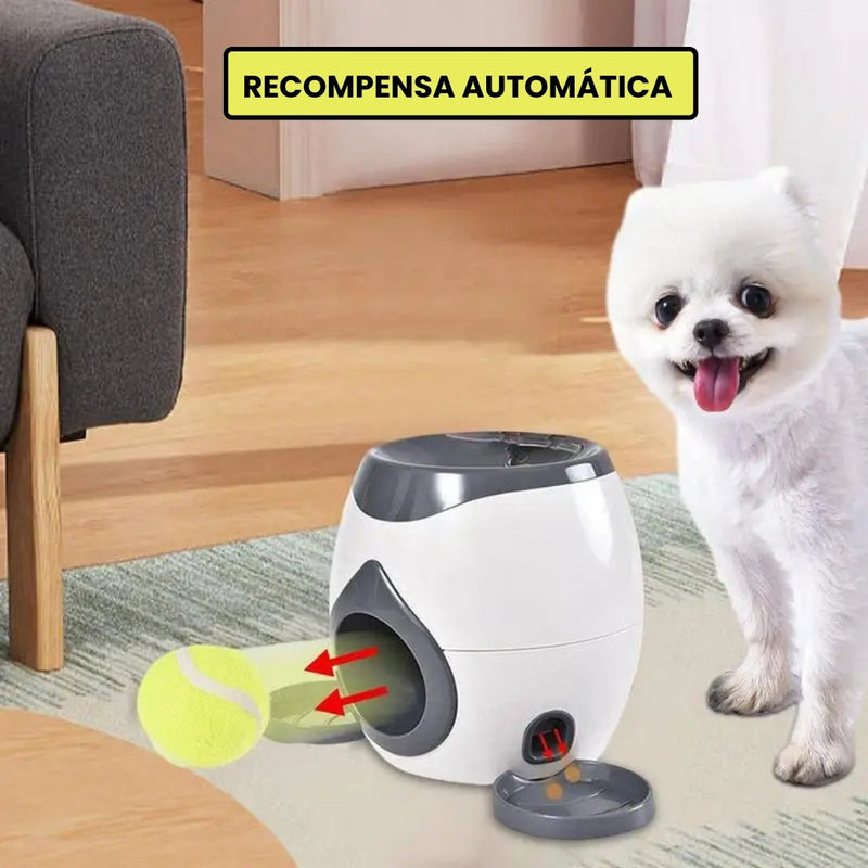 Lançador de Bolinhas Para Cachorros Pet  BolaFetch